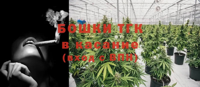 где найти   Нестеров  Канабис SATIVA & INDICA 